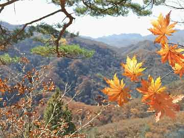 云南丽江省天气预报(云南丽江天气预报30天查询结果)